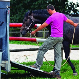 N°122 - Cheval : Problèmes du transport