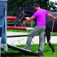 N°122 - Cheval : Problèmes du transport